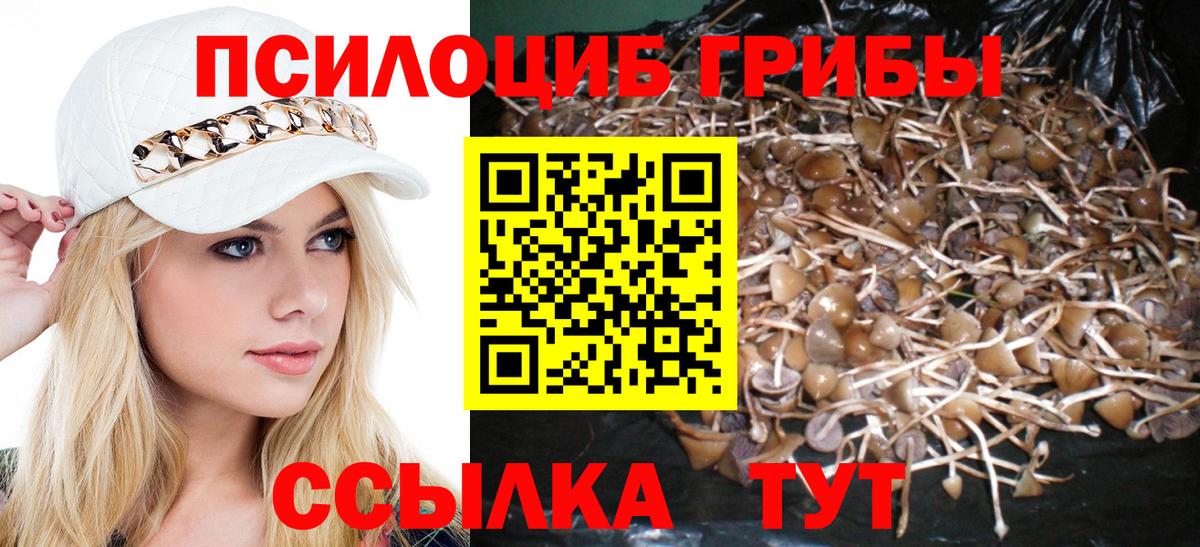 Псилоцибиновые грибы MAGIC MUSHROOMS Кызыл